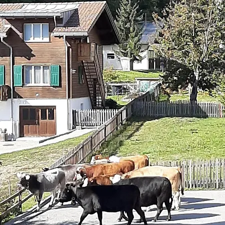 Attraktive 4,5-zimmerwohnung In Ruschein Διαμέρισμα *