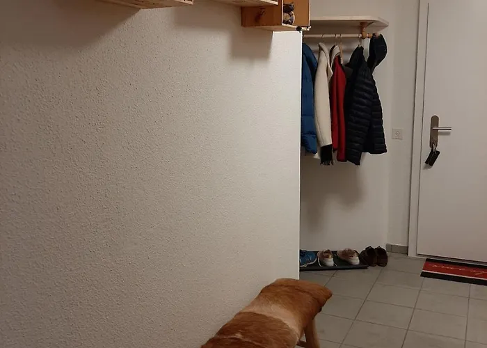 Attraktive 4,5-zimmerwohnung In Ruschein Apartamento