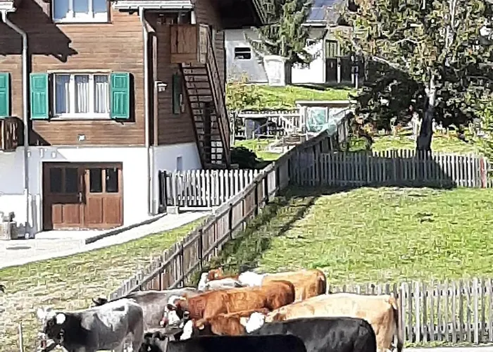 Attraktive 4,5-zimmerwohnung In Ruschein Apartamento *